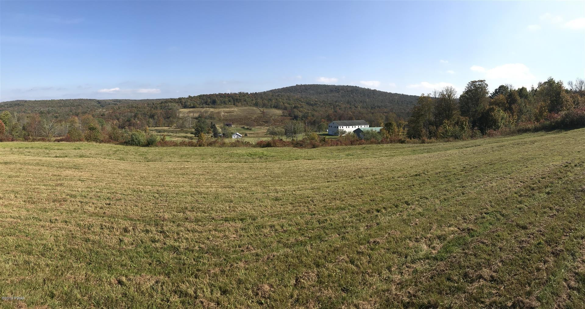 695 Pine Mill Road Equinunk, PA 18417 - Photo 14 of 68