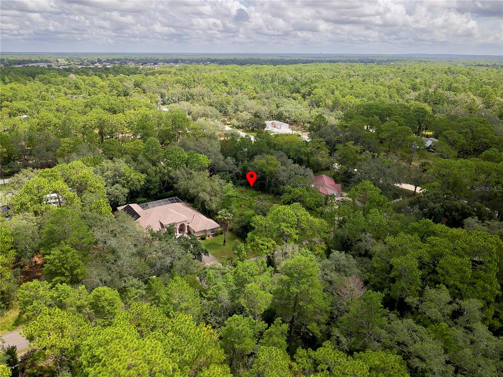 9041 Helene Way Weeki Wachee, FL 34613 - Photo 10 of 15 Gallery Image 10