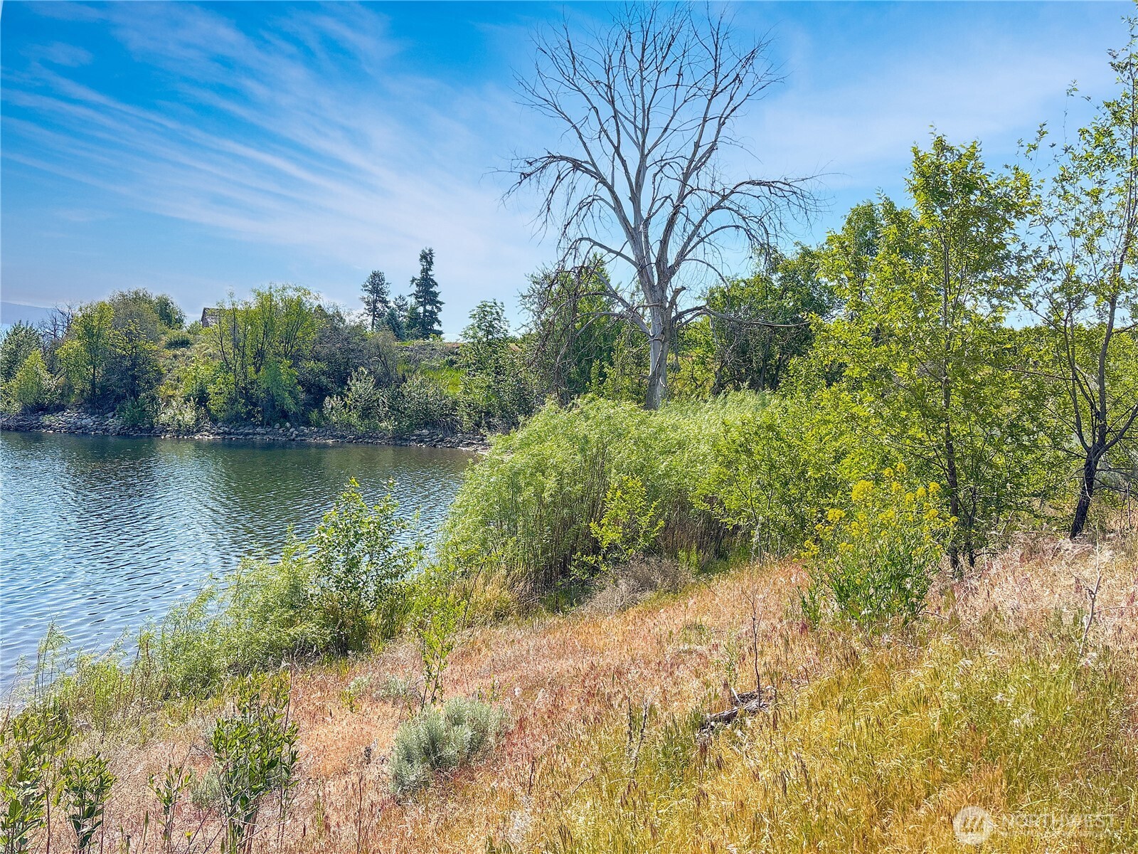 0 Lot 4 Freese Duck Lake Road Omak, WA 98841 - Photo 9 of 15