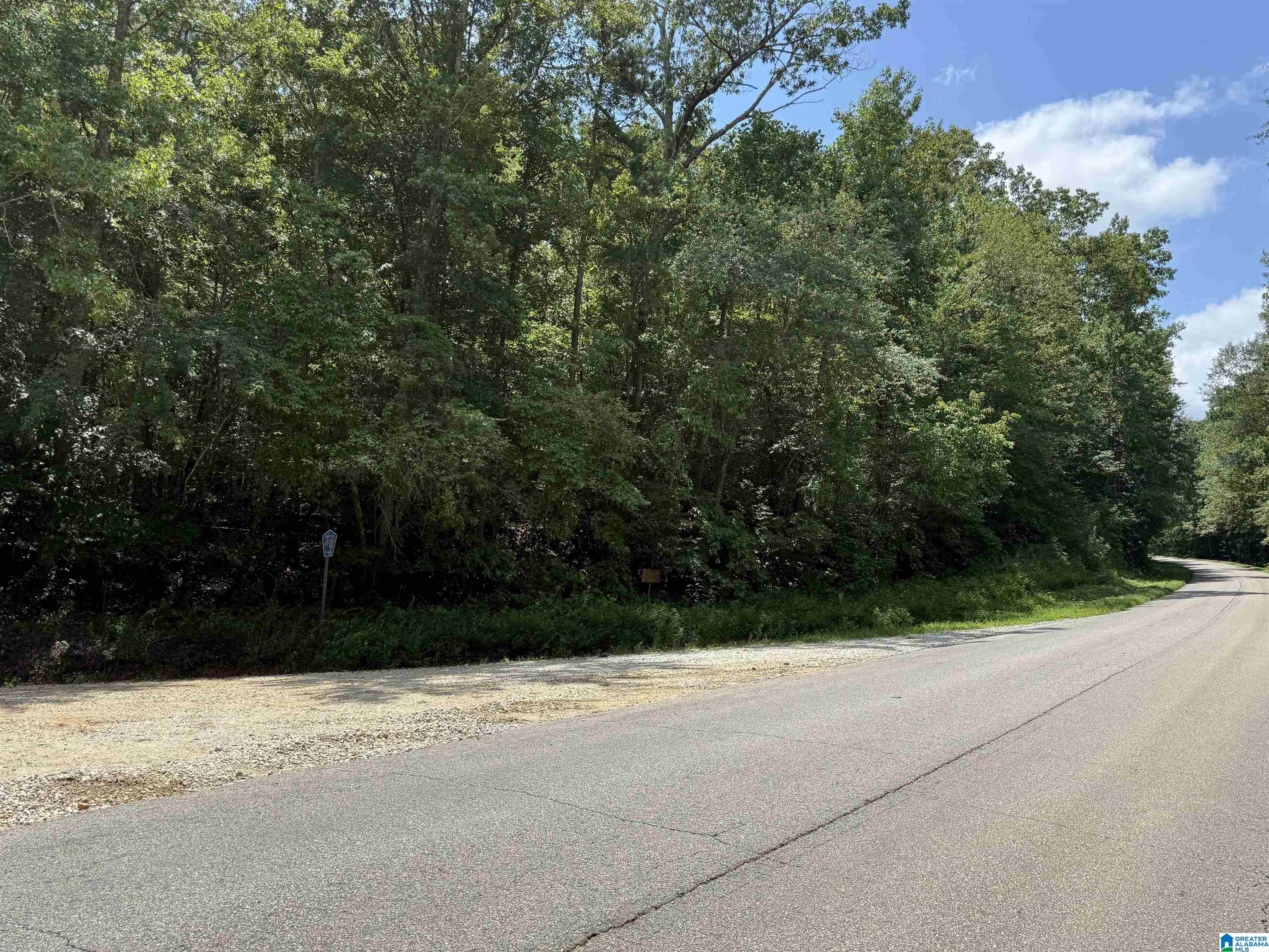 0 County Road 58, Unit 1 Wedowee, AL 36278 - Photo 5 of 5