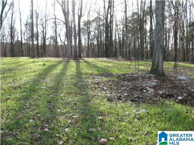 0 Spring Creek Road, Unit 30 AC Calera, AL 35040 - Photo 20 of 20