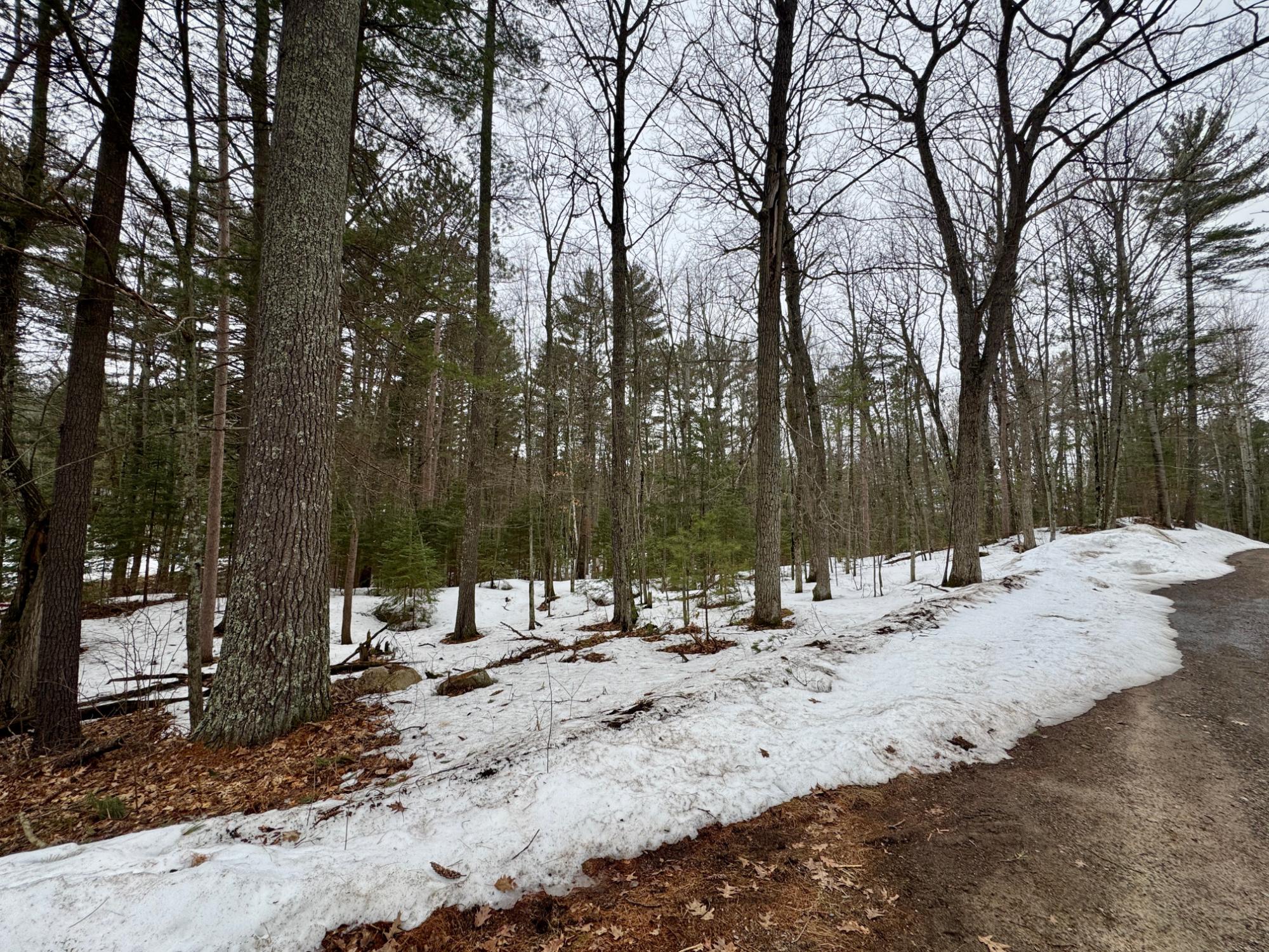 1.2-ac Eagle Road Lake Tomahawk, WI 54539 - Photo 11 of 11 Gallery Image 11