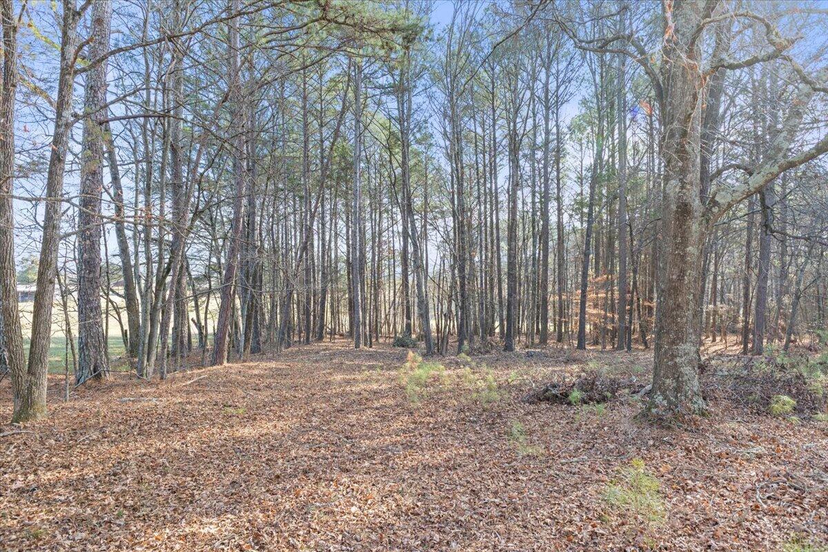 319 Cannon Road LaFayette, GA 30728 - Photo 5 of 17 20260106200748153559000000-o