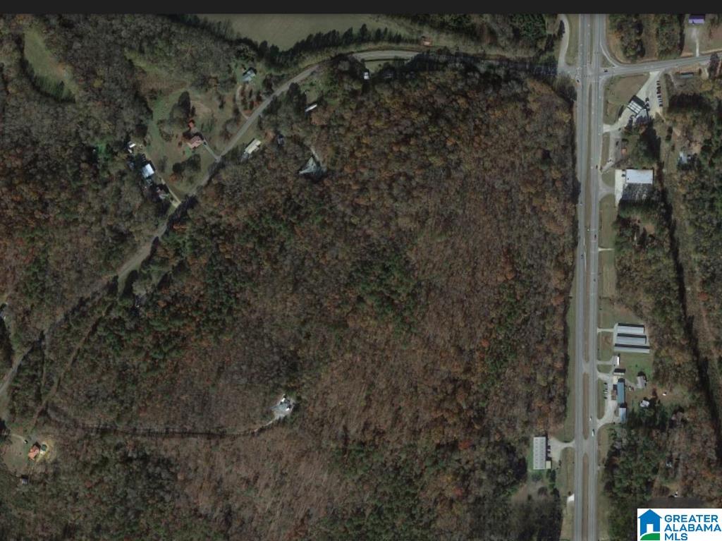 0 Highway 431 Ohatchee, AL 36271 - Photo 5 of 5