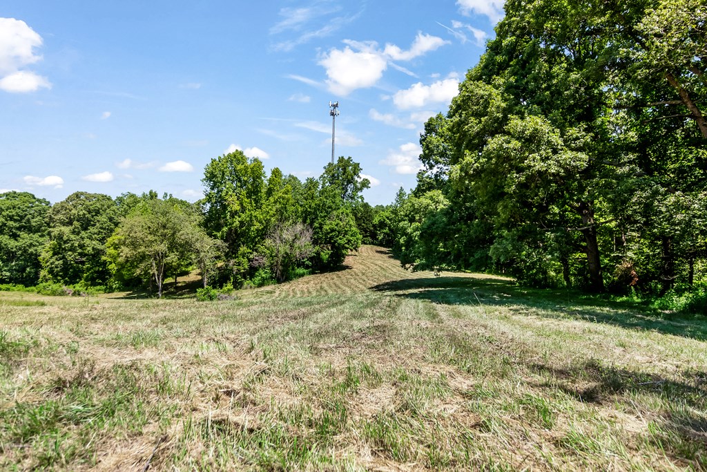 773 Fairview Road Jasper, GA 30143 - Photo 28 of 73