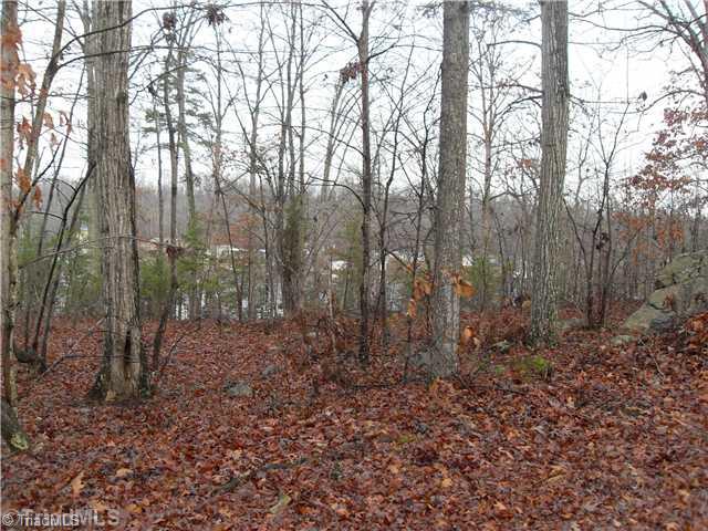 380 Rima Landing Denton, NC 27239 - Photo 2 of 4 Land/Lot.