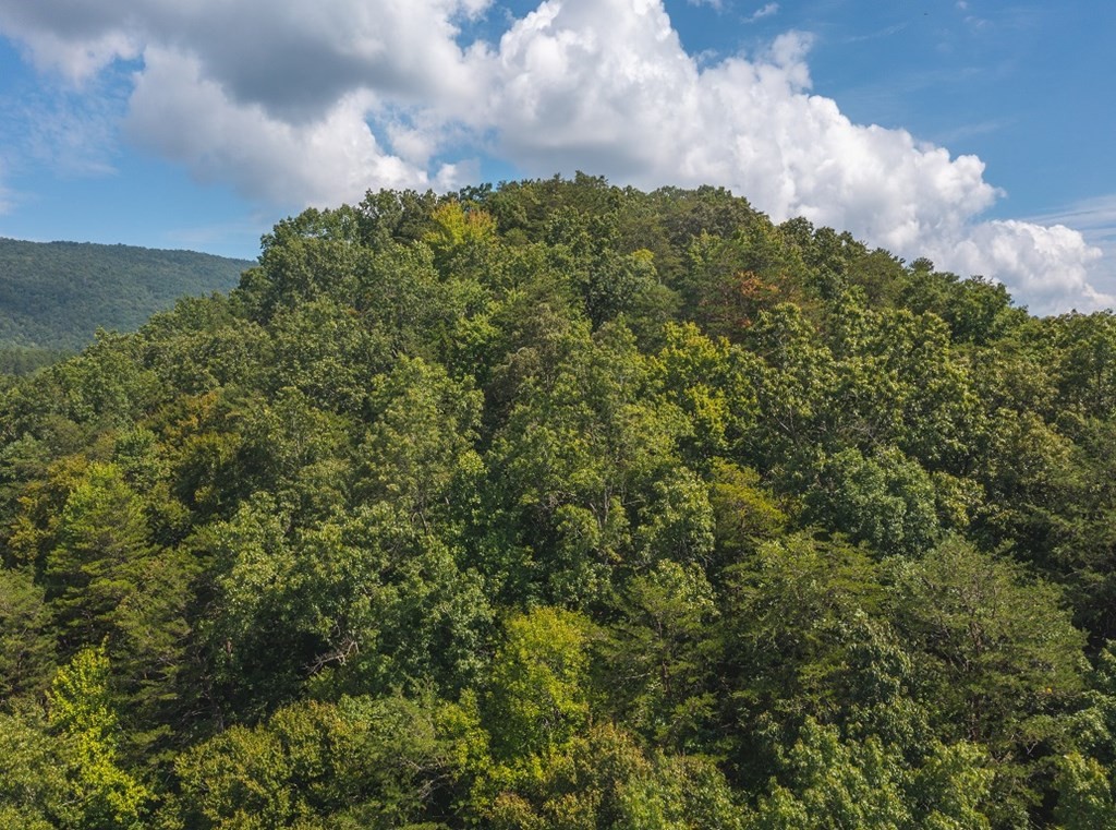 24 Coffey Lane Rutledge, TN 37861 - Photo 19 of 35