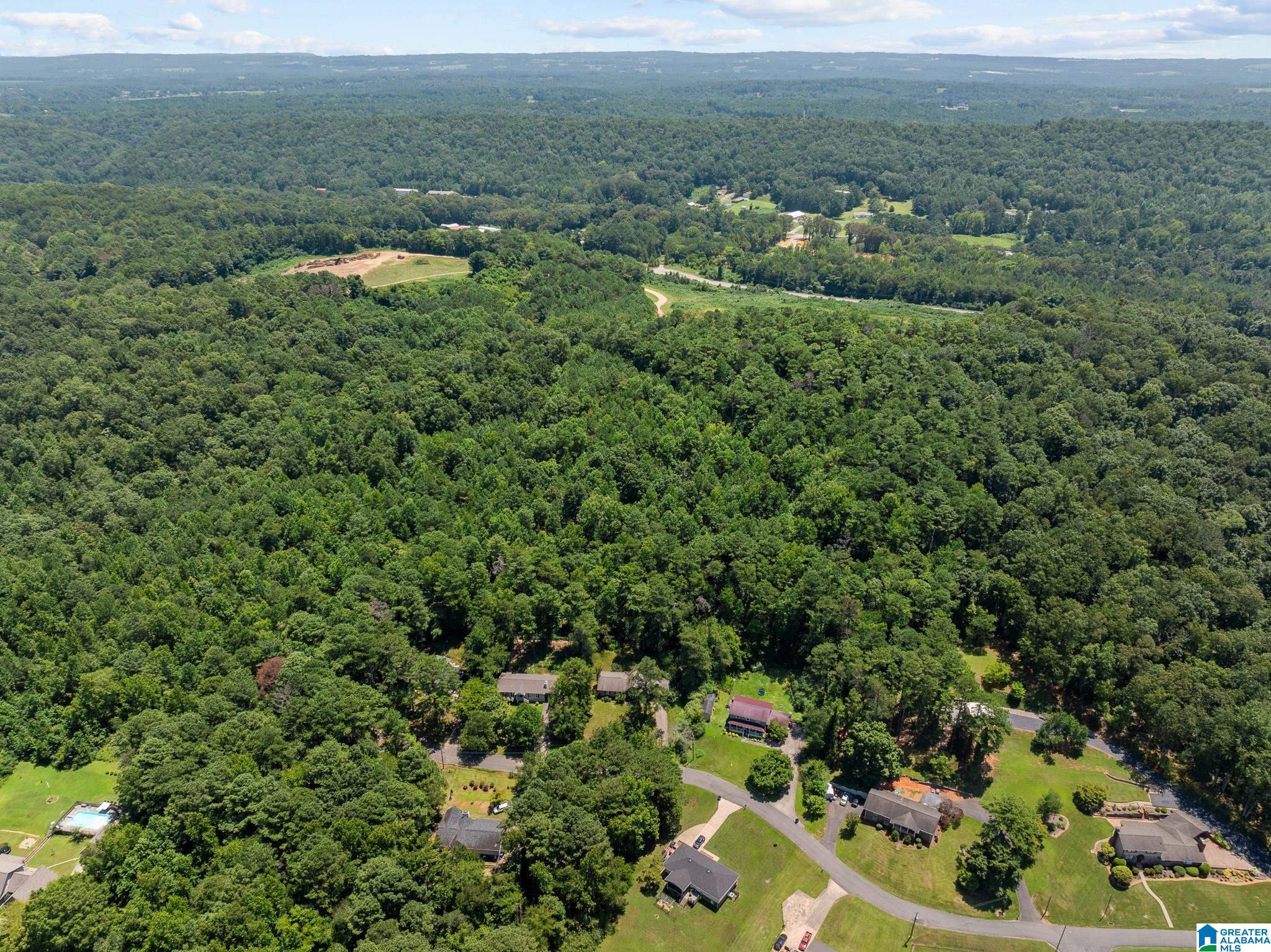 0 Sunshine Avenue Oneonta, AL 35121 - Photo 21 of 21
