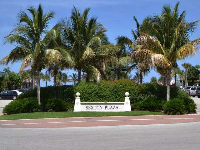 a view of house with palm trees