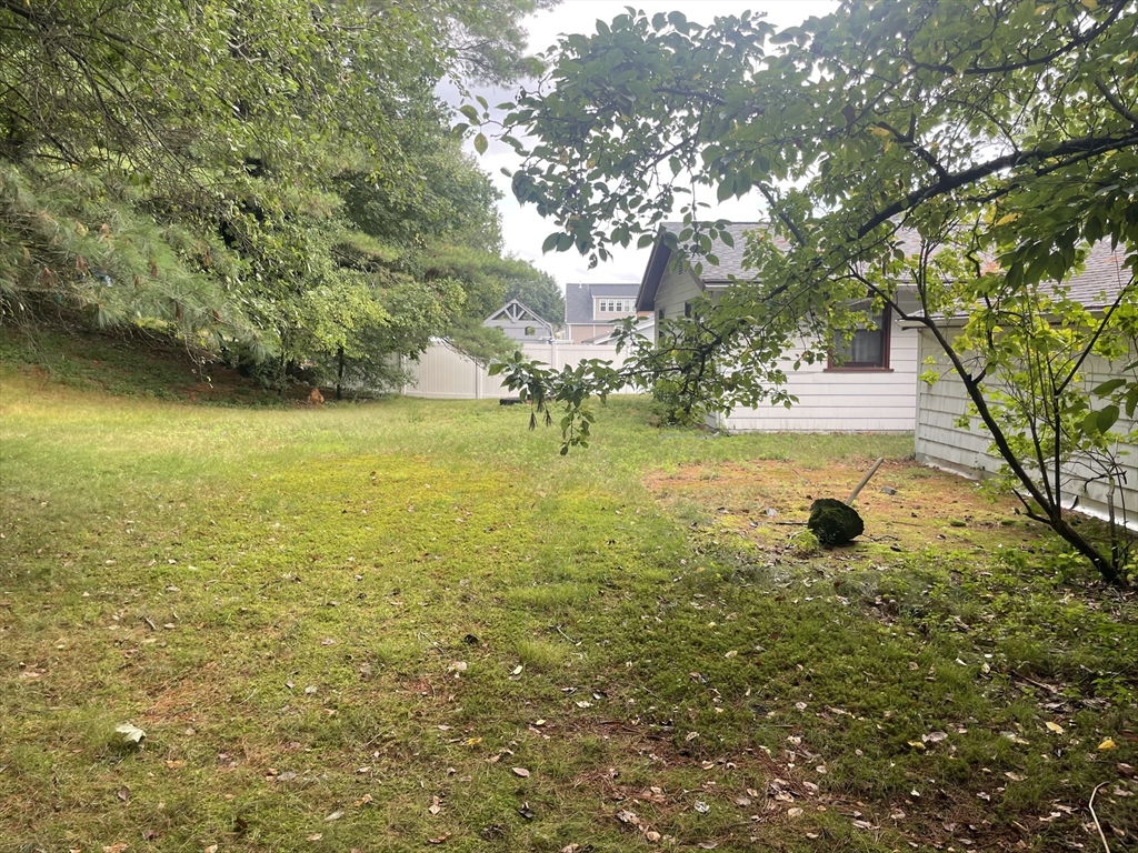 4 Richard Road Natick, MA 01760 - Photo 2 of 5 a view of yard with large trees
