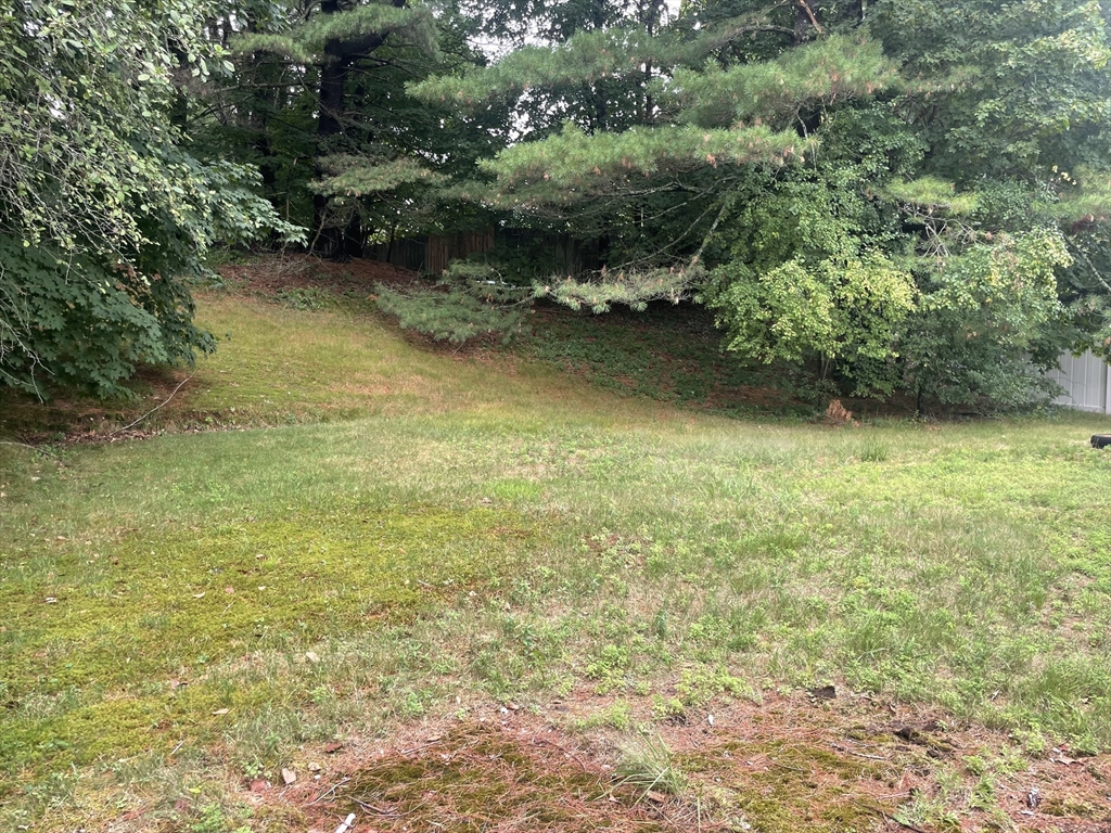 4 Richard Road Natick, MA 01760 - Photo 3 of 5 a view of residential plants and lake view