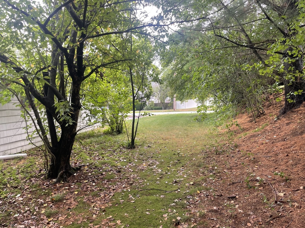 4 Richard Road Natick, MA 01760 - Photo 5 of 5 a view of a yard with a tree
