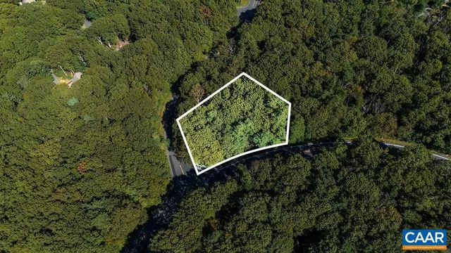 a view of a plant in a garden