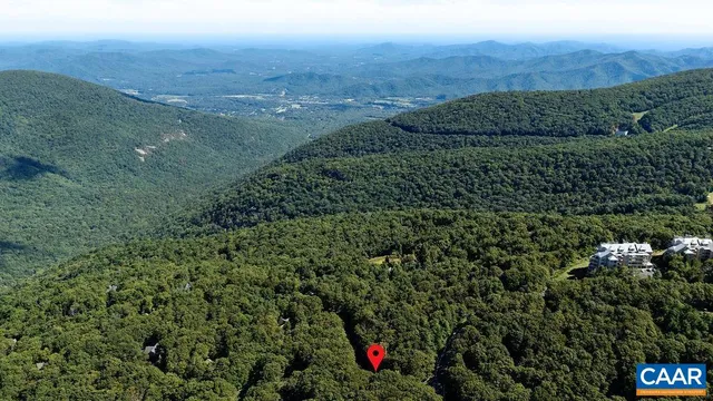 a view of a lush green forest