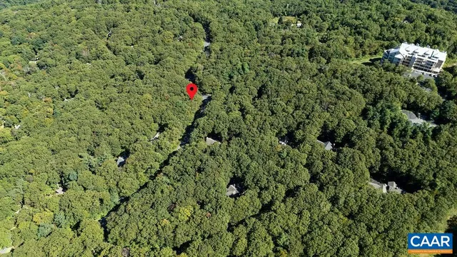 a view of a lush green field