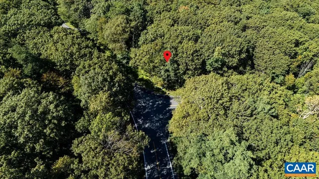 a view of small garden