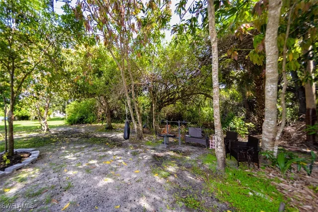 a view of a park with large trees