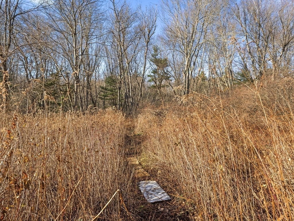 1828 Main Street Concord, MA 01742 - Photo 34 of 35