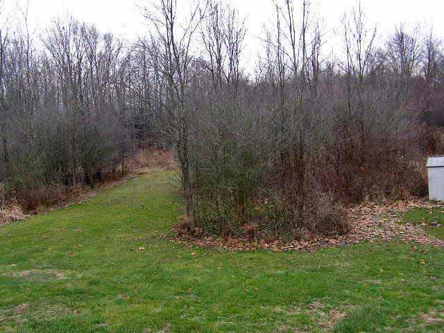 5354 Patrick Road Sunbury, OH 43074 - Photo 8 of 8 Gallery Image 8