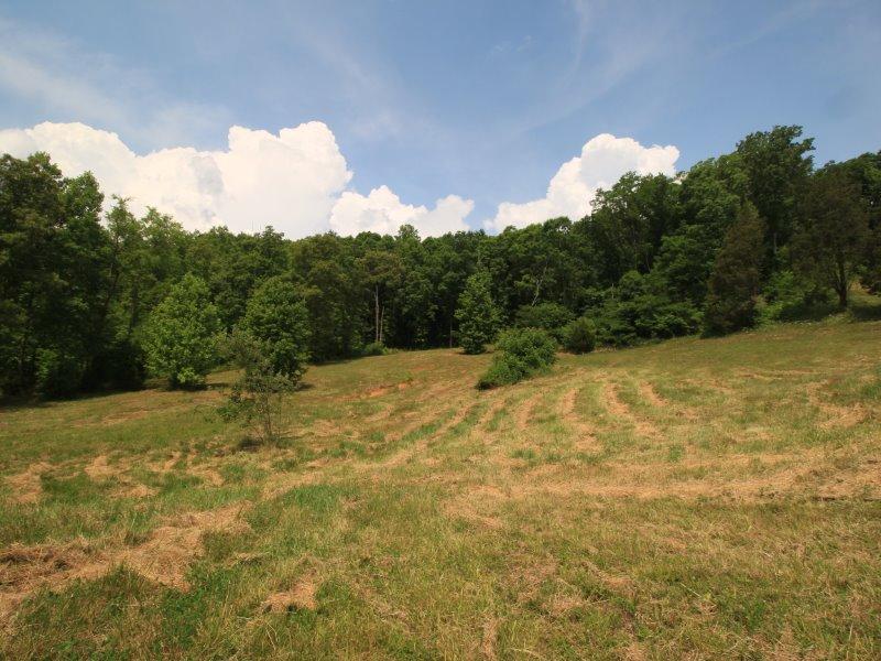 0 Bob Payne Road Tellico Plains, TN 37385 - Photo 2 of 6 IMG_1784