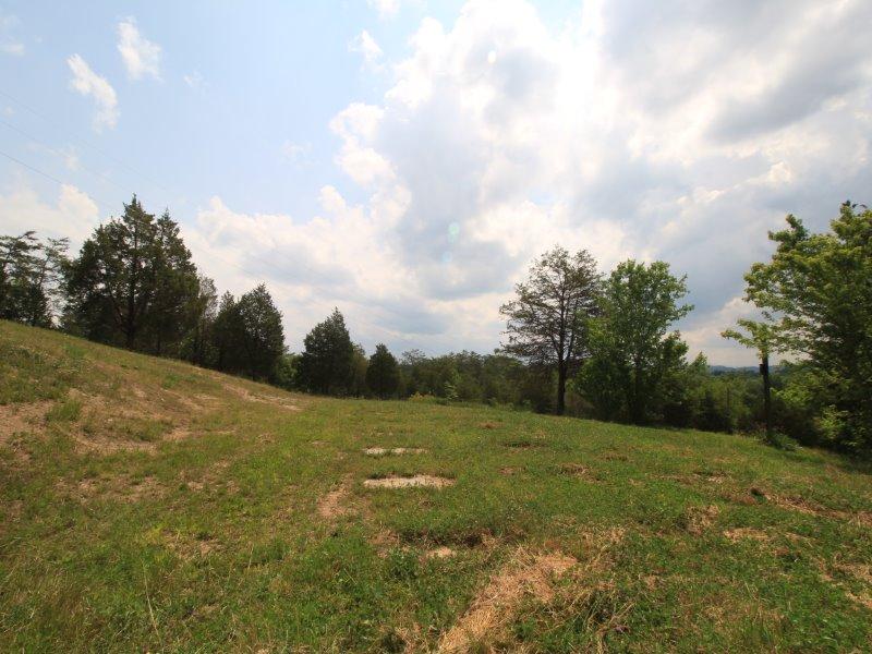 0 Bob Payne Road Tellico Plains, TN 37385 - Photo 3 of 6 IMG_1786