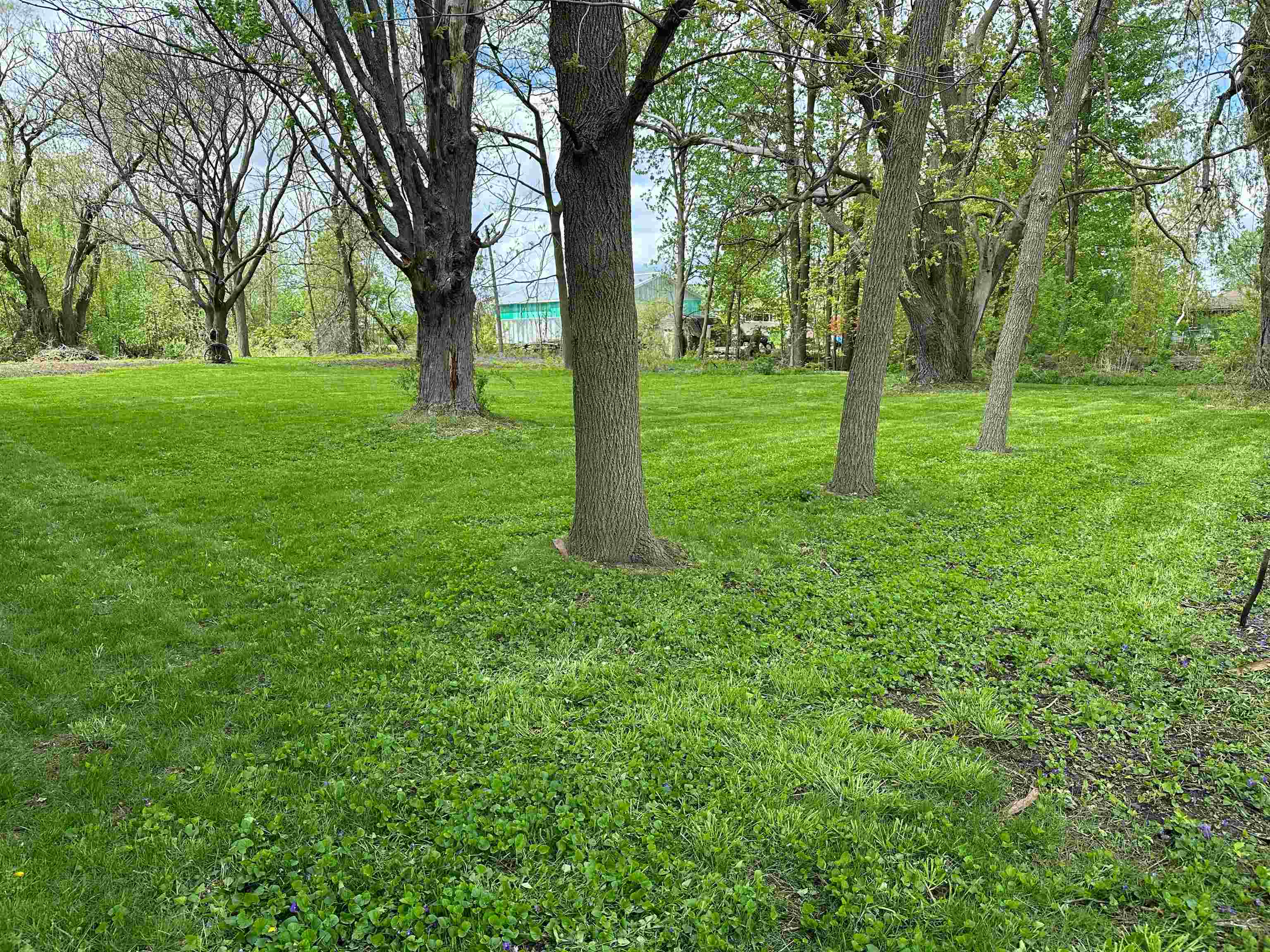8825 Hospital Road Freeland, MI 48623 - Photo 2 of 13