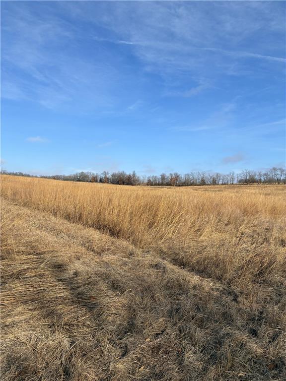 Spring Holler Road Easton, MO 64443 - Photo 11 of 18