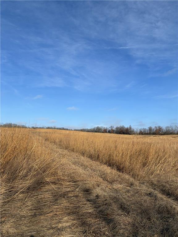 Spring Holler Road Easton, MO 64443 - Photo 12 of 18