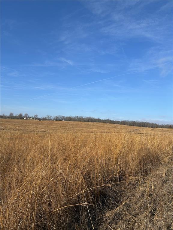 Spring Holler Road Easton, MO 64443 - Photo 15 of 18