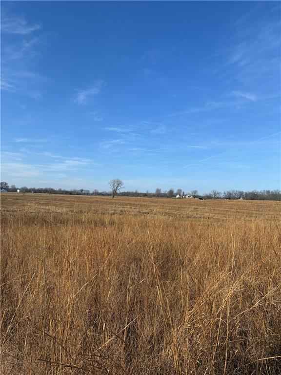 Spring Holler Road Easton, MO 64443 - Photo 16 of 18