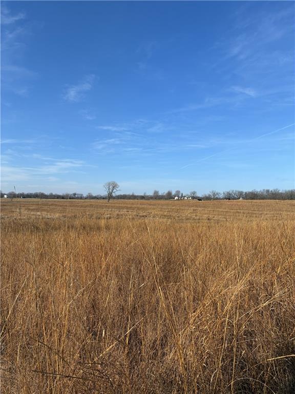 Spring Holler Road Easton, MO 64443 - Photo 18 of 18