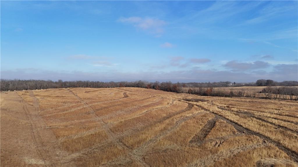 Spring Holler Road Easton, MO 64443 - Photo 4 of 18