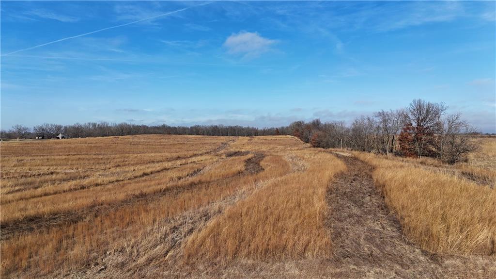 Spring Holler Road Easton, MO 64443 - Photo 5 of 18