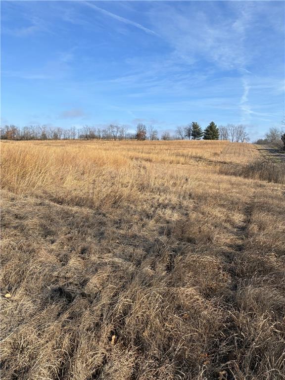 Spring Holler Road Easton, MO 64443 - Photo 10 of 18