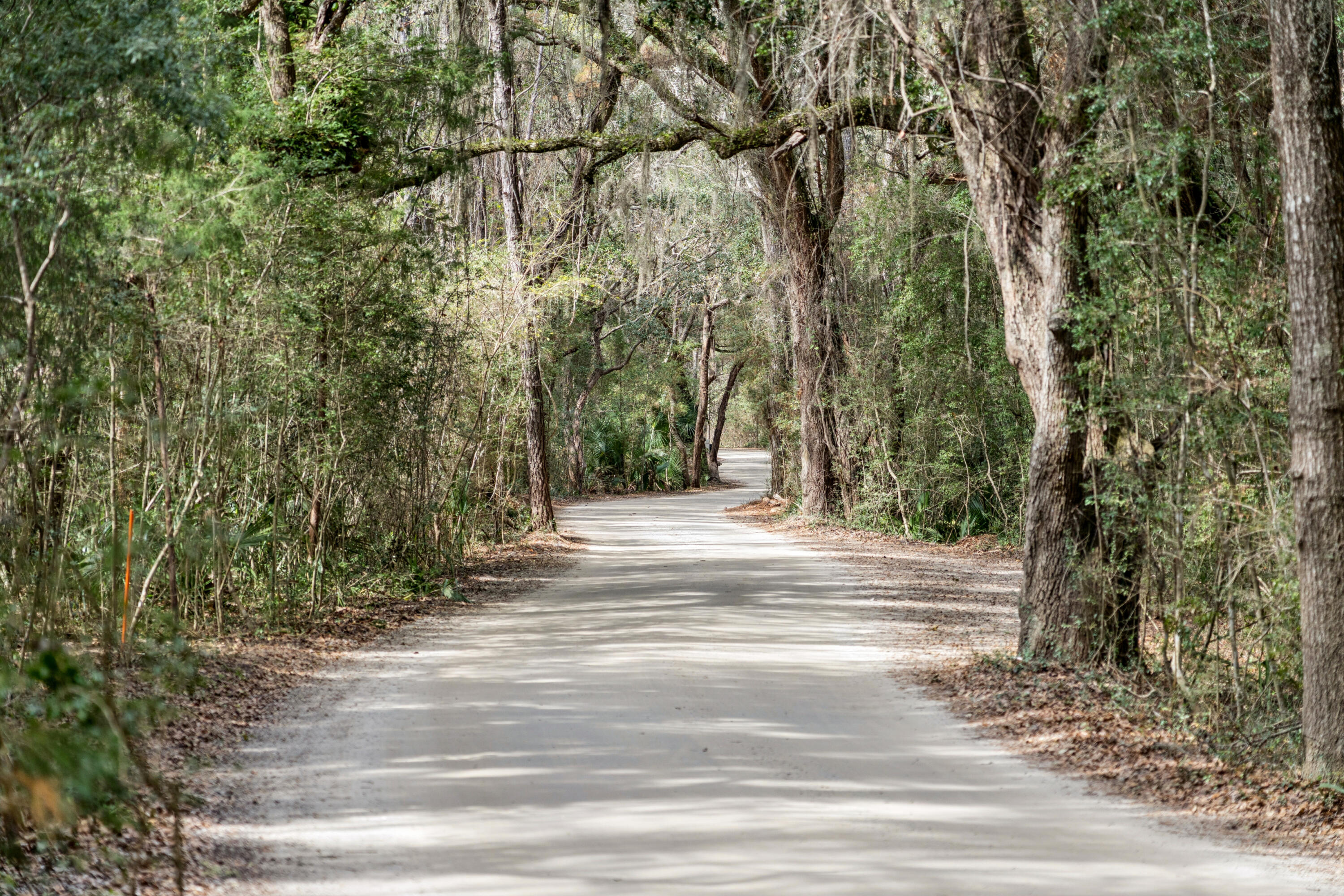 1130 Hammocks Way Edisto Island, SC 29438 - Photo 58 of 67 1130HammocksWay-KeenEyeMarketing-085