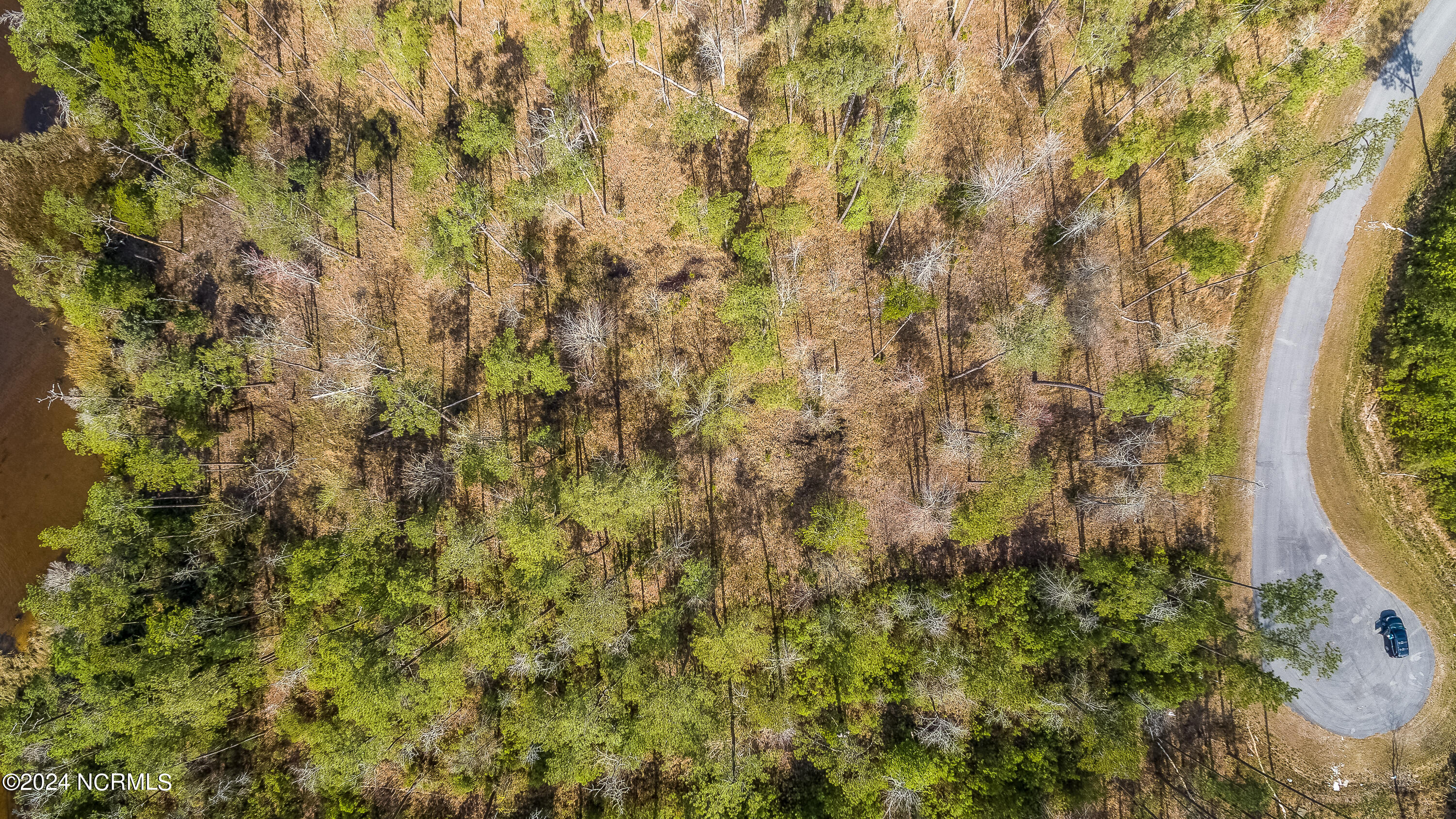 286 Mason Bay Road Merritt, NC 28556 - Photo 3 of 8 DJI_0478