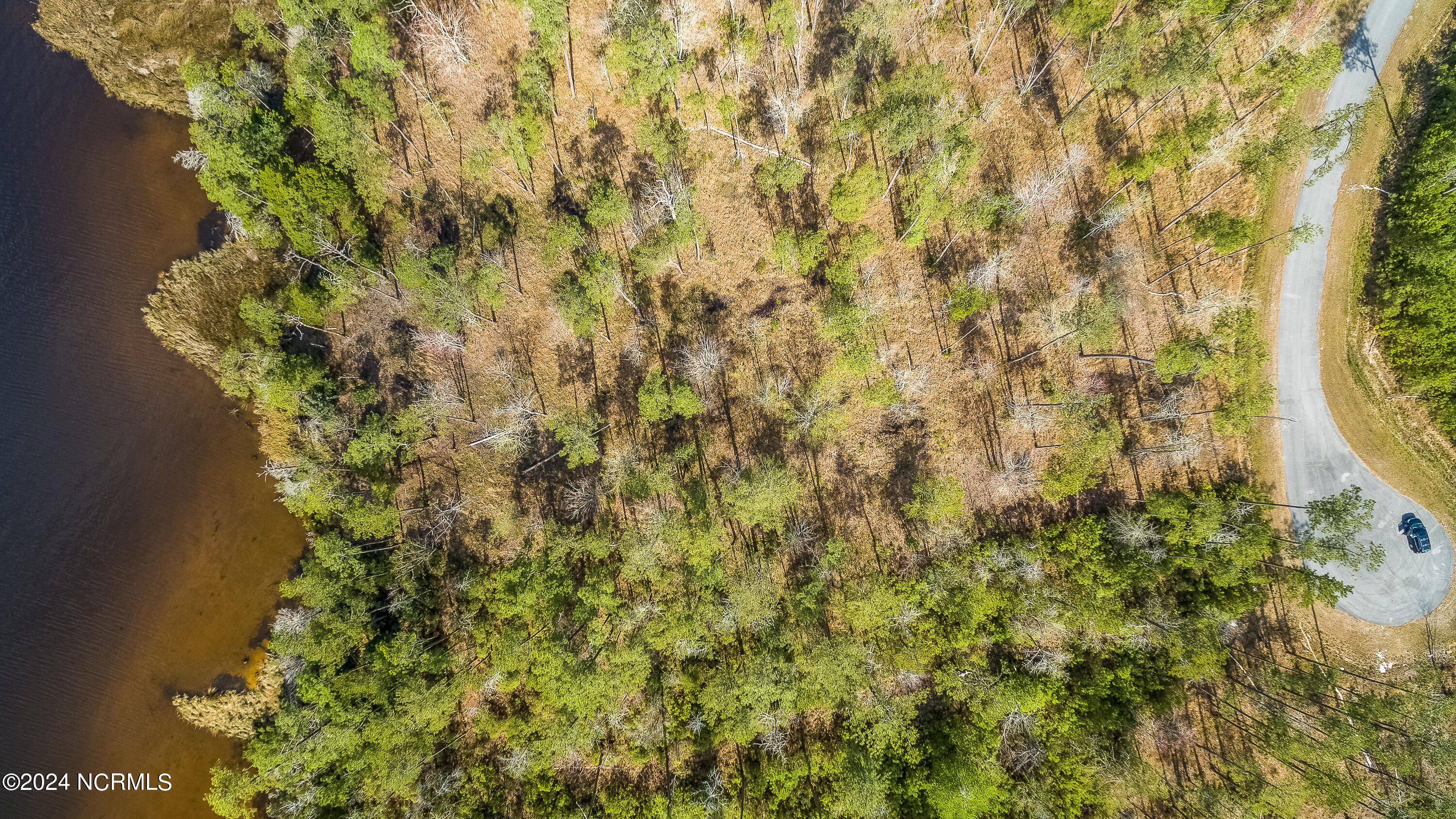 286 Mason Bay Road Merritt, NC 28556 - Photo 4 of 8 DJI_0479