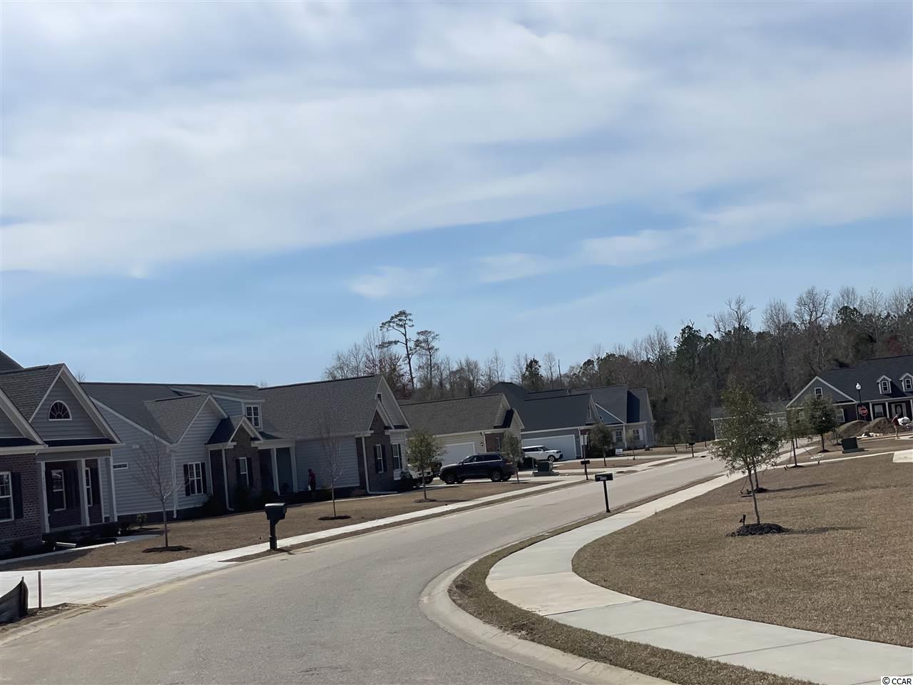 4217 Ridgewood Drive Conway, SC 29526 - Photo 22 of 40 Gallery Image 22