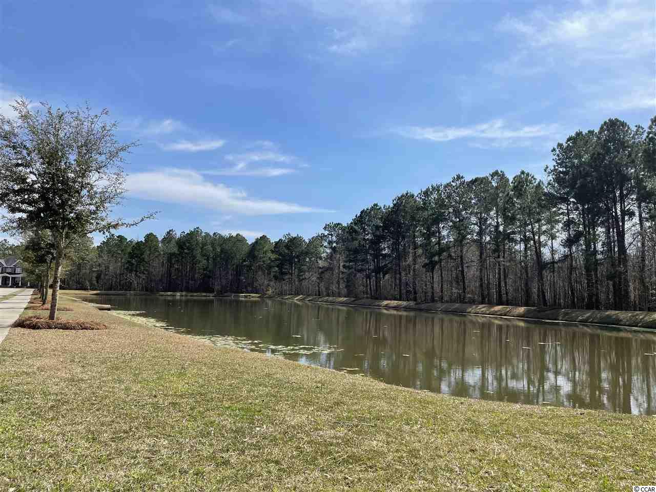 4217 Ridgewood Drive Conway, SC 29526 - Photo 23 of 40 Gallery Image 23