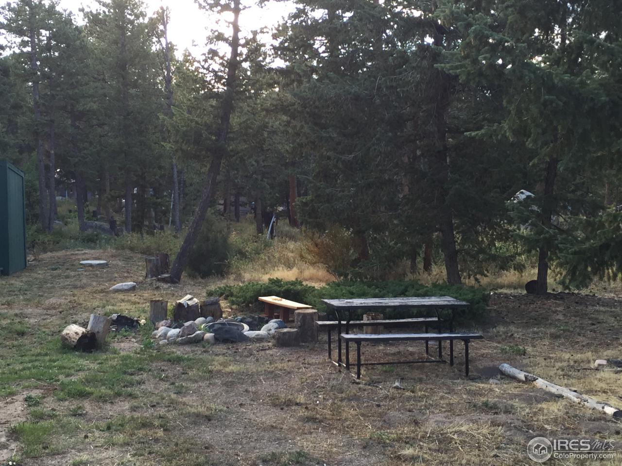 227 Onawa Road Red Feather Lakes, CO 80545 - Photo 17 of 37 Campfire and Picnic Table