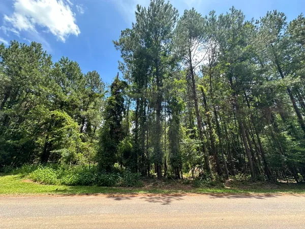 $3,500 | B72-l17 Charlotte Drive, McCormick, SC 29835