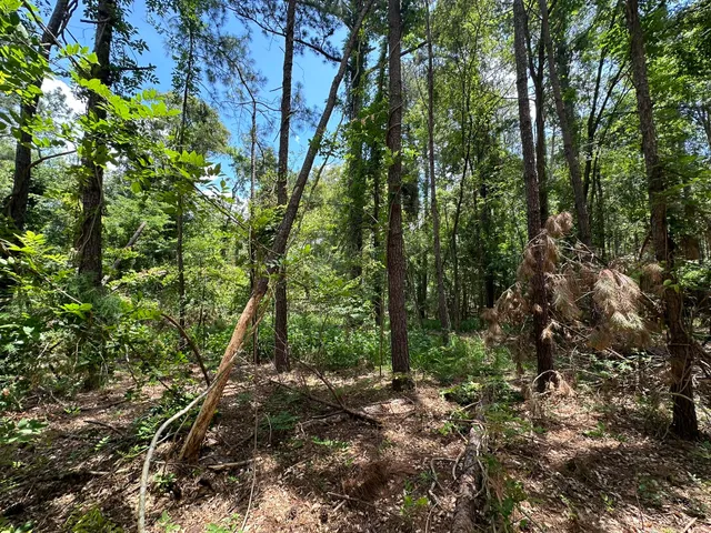 $10,000 | B72-l17 Charlotte Drive, McCormick, SC 29835