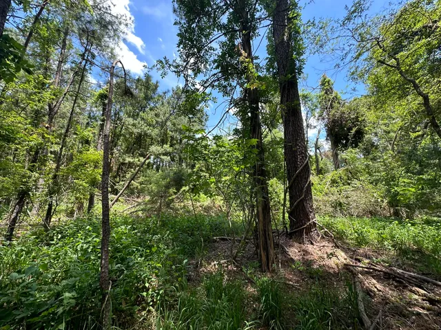 $10,000 | B72-l17 Charlotte Drive, McCormick, SC 29835