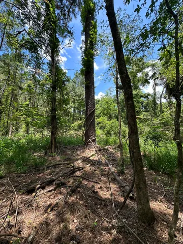 $10,000 | B72-l17 Charlotte Drive, McCormick, SC 29835