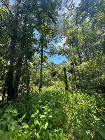 $10,000 | B72-l17 Charlotte Drive, McCormick, SC 29835