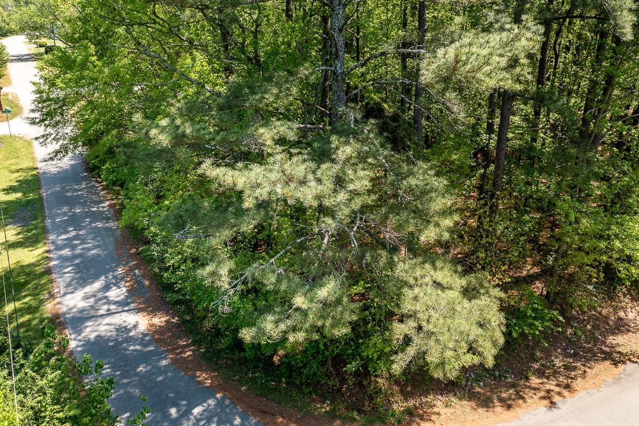 Pheiffer Drive Raleigh, NC 27603 - Photo 15 of 15 Photo 16