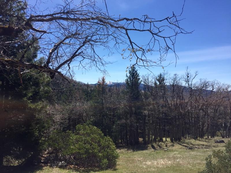 40-acres Buck Mountain Road, Unit NONE Bridgeville, CA 95526 - Photo 3 of 5