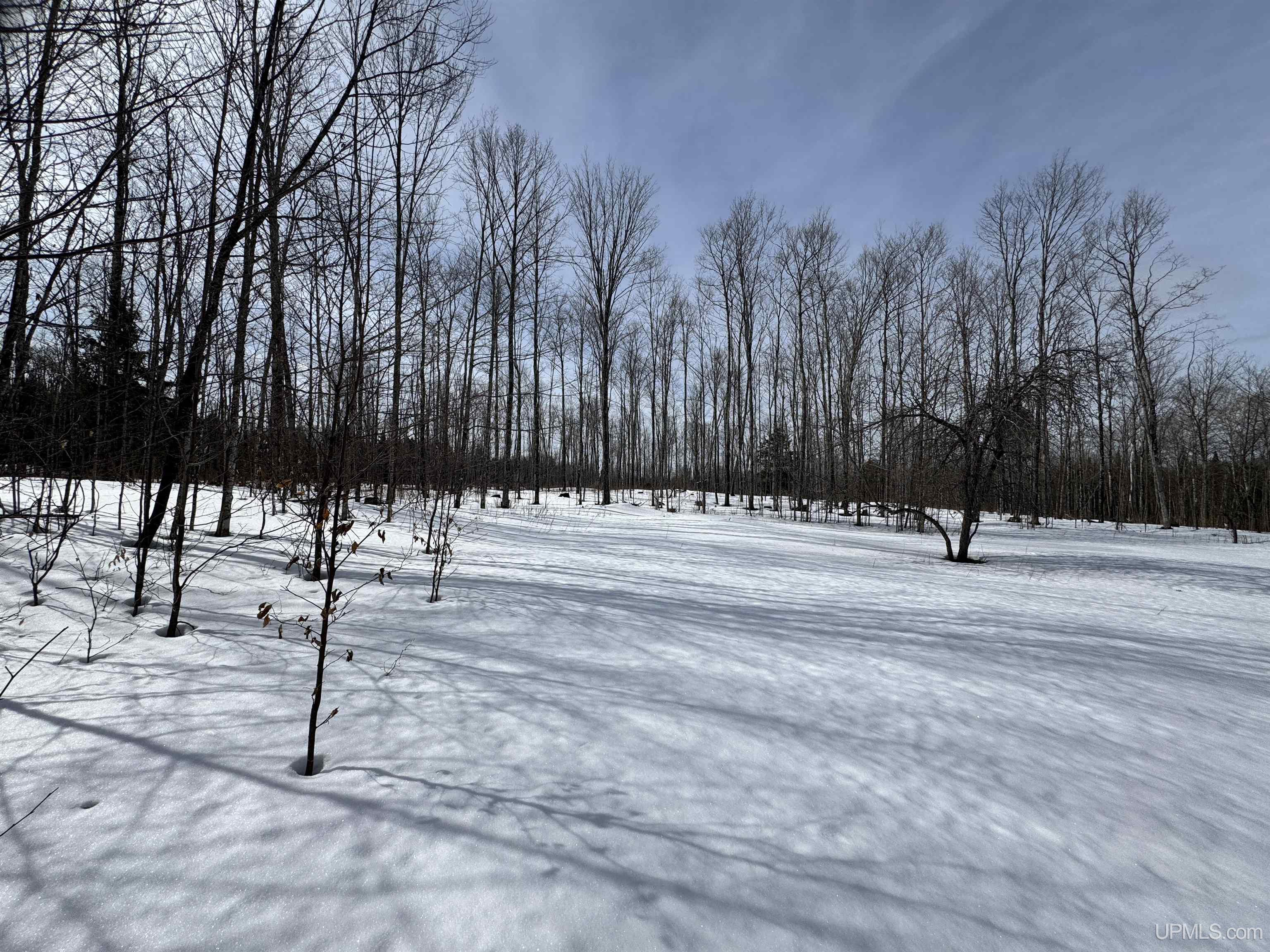 19185 Dog Patch Road, Unit LOT E Lanse, MI 49946 - Photo 17 of 23 Gallery Image 17