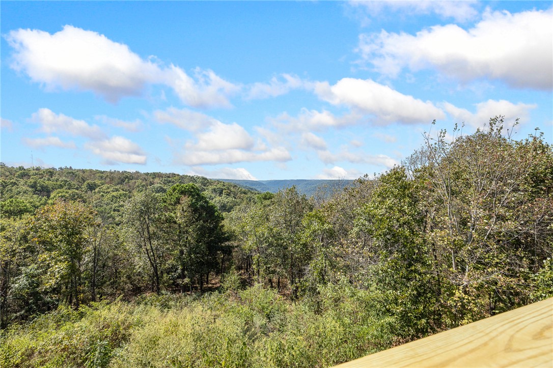 4357 Cherry Tree Lane Harrison, AR 72601 - Photo 42 of 45 Gallery Image 42