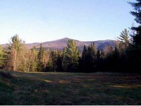 50 Gibson Road Easton, NH 03580 - Photo 2 of 2